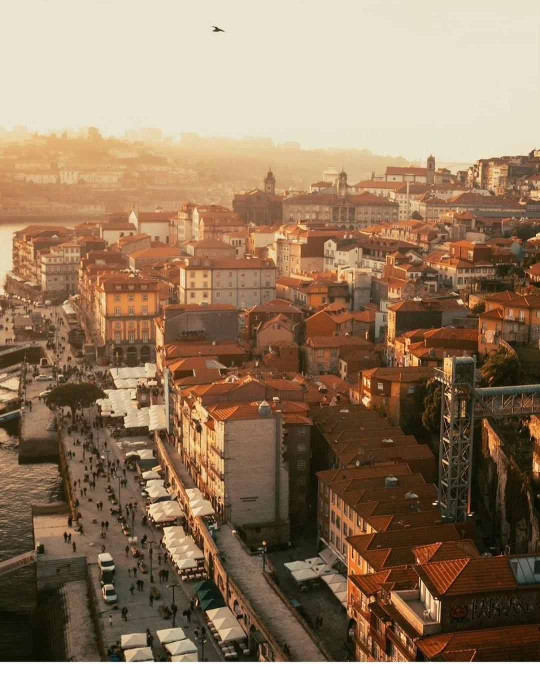 Amazing Studio Douro River Views ポルト エクステリア 写真