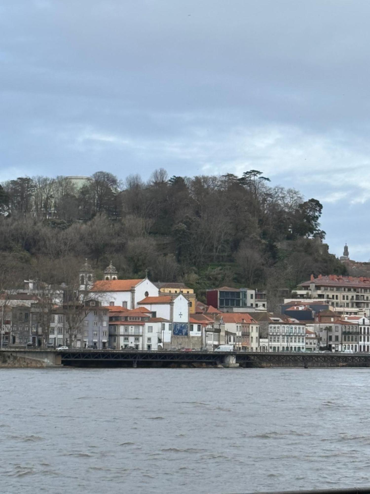 Amazing Studio Douro River Views ポルト エクステリア 写真