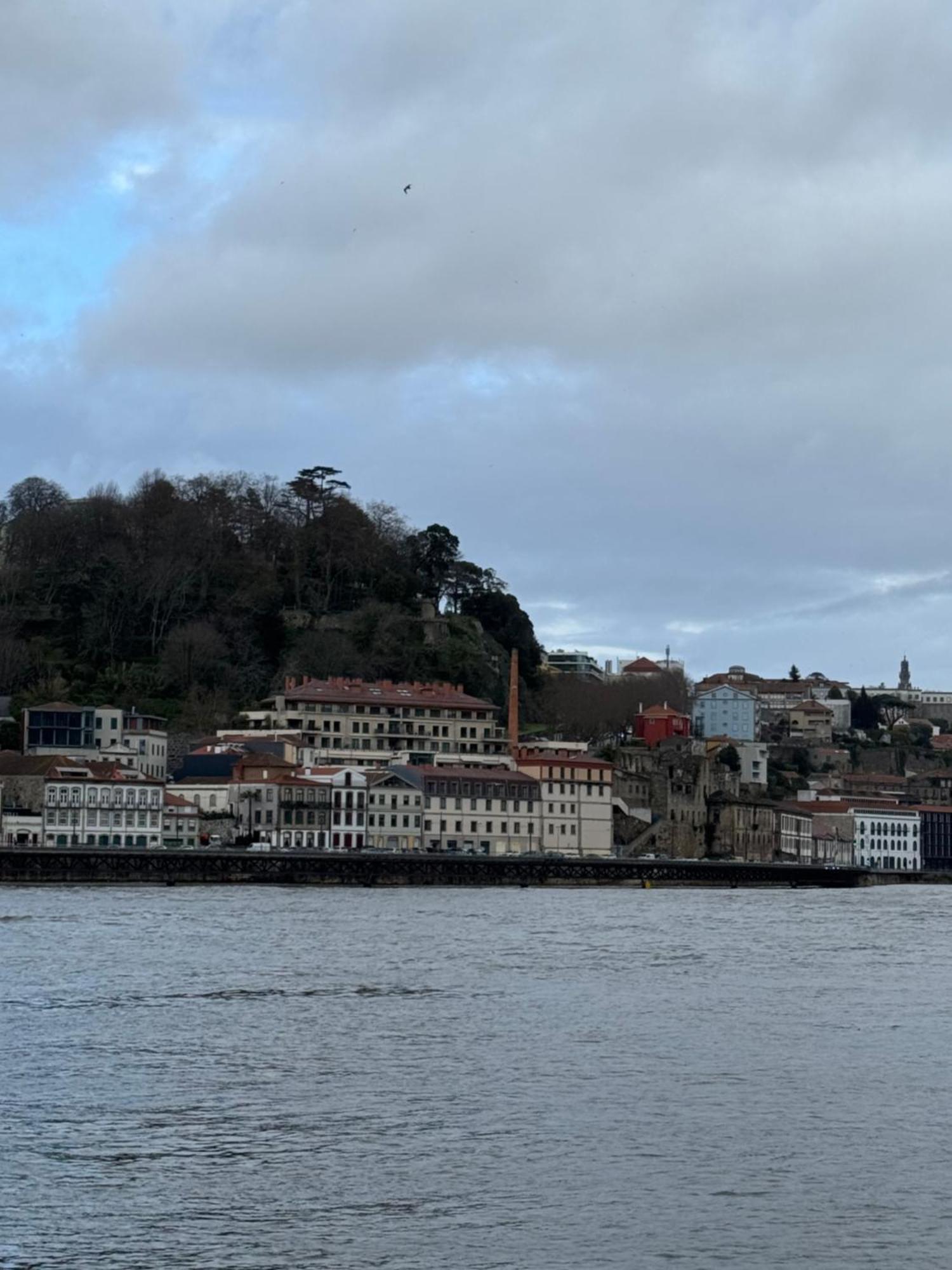 Amazing Studio Douro River Views ポルト エクステリア 写真